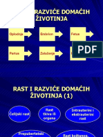 Rast I Razvice Domacih Zivotinja