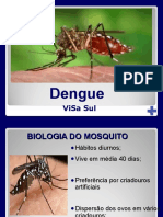 Apresentação Dengue