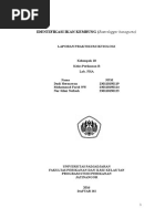 Download Laporan praktokum ikan kembung by Farid Najibul Wafa SN310169296 doc pdf