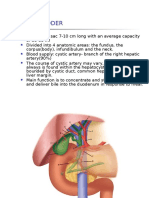Gallbladder and Bile Duct Anatomy, Function and Diseases