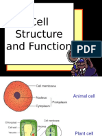 BIOLOGY FORM 4 BAB 1 Cell Structure