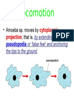 BIOLOGY FORM 4 SHORT NOTE SPECIFIC ON Locomotion of Amoeba