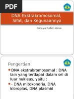 DNA Ekstrakromosomal,.pptx