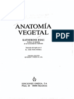 Anatomía vegetal 
