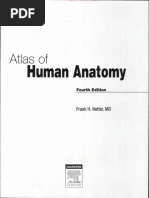 Download Atlas Human Anatomy Ciba Netter by xxxx SN310181221 doc pdf
