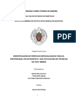 Profesional Estadístico.pdf