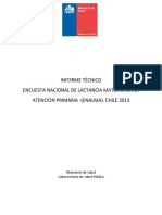 Informe Final Enalma 2013 PDF