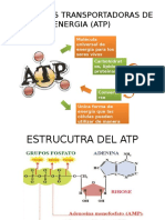 ATP