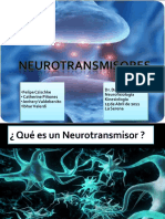 Neuro Transmi Sores