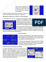 Conferencia 1 PDF