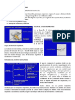 Conferencia 6 PDF