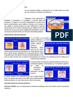 Conferencia 10.pdf