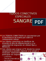 SANGRE y Celulas Conectivas Moviles