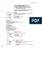 Estudo Dirigido Respondido Ester