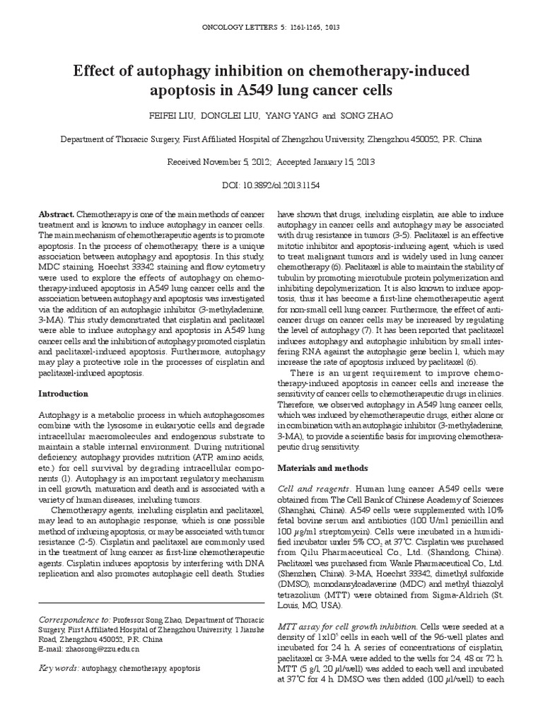 Effect of Autophagy Inhibition On Chemotherapy-Induced Apoptosis in ...
