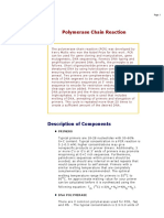 Polymerase Chain Reaction: Description of Components
