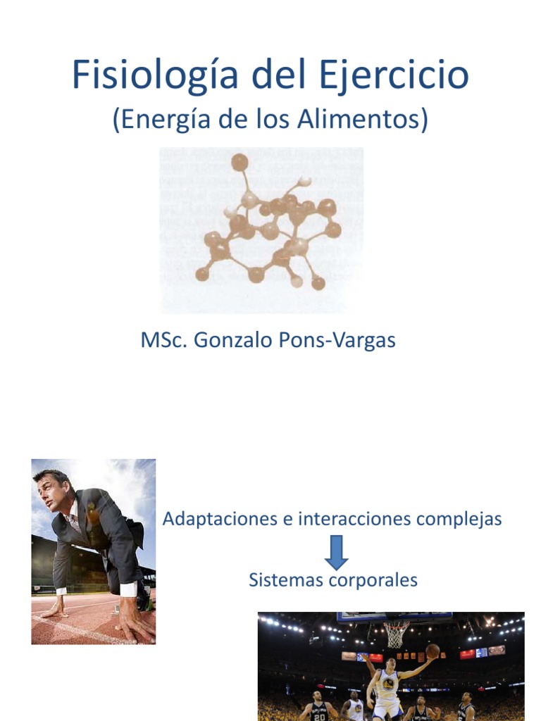 Fisiología del Ejercicio y Energía Celular | PDF | Enzima | Trifosfato ...