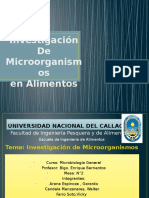 Investigación de Microorganismos 