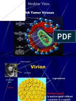 Virus