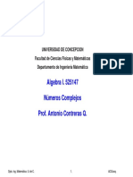 Cap1 Complejos PDF
