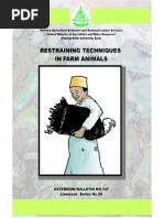 Cattle Restraint Techniques and Methods | PDF | Cattle | Bull