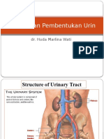 Nefron & Pembentukan Urin 2013