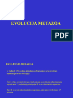 09 Podrijetlo Metazoa