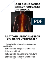 Durerile coloanei vertebrale: rahialgia si radiculalgia - Farmacia Ta - Farmacia Ta