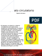 Aparato circulatorio histo