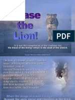 Chase The Lion