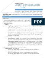 Medicina Legal- consolidación ósea