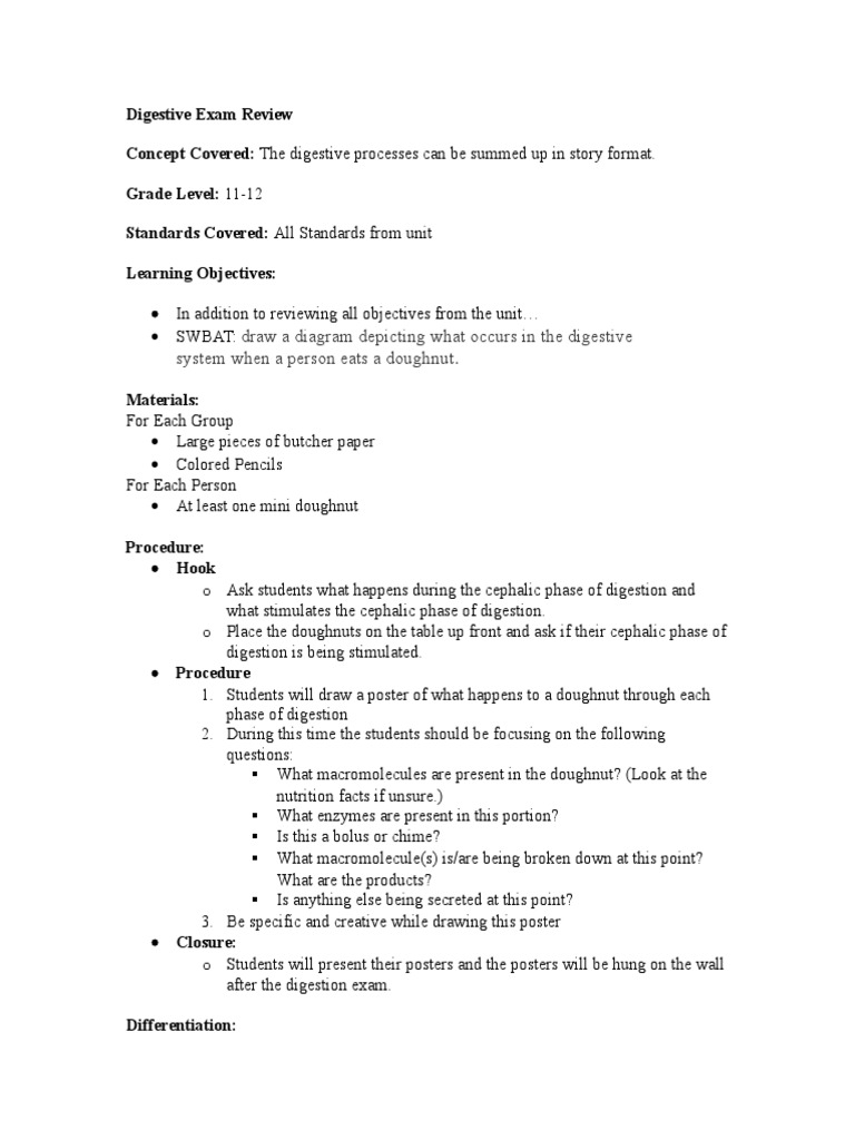 High School Digestive System Lab | PDF