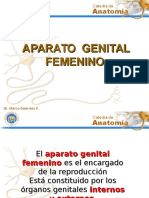 Aparato Genital Femenino