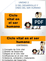 Ciclo Vital Del Ser Humano