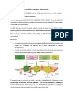 Tema 5. Fosforilación Oxidativa y Cadena Respiratoria.