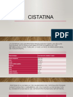 CISTATINA.pptx