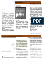 Practica 13. BBM DNA Plasmidico