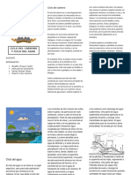 Ciclo Del Agua y Ciclo Del Carbono