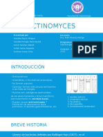 ACTINOMYCES