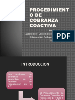 Procedimiento de Cobranza Coactiva: Medidas, Tasación y Remate