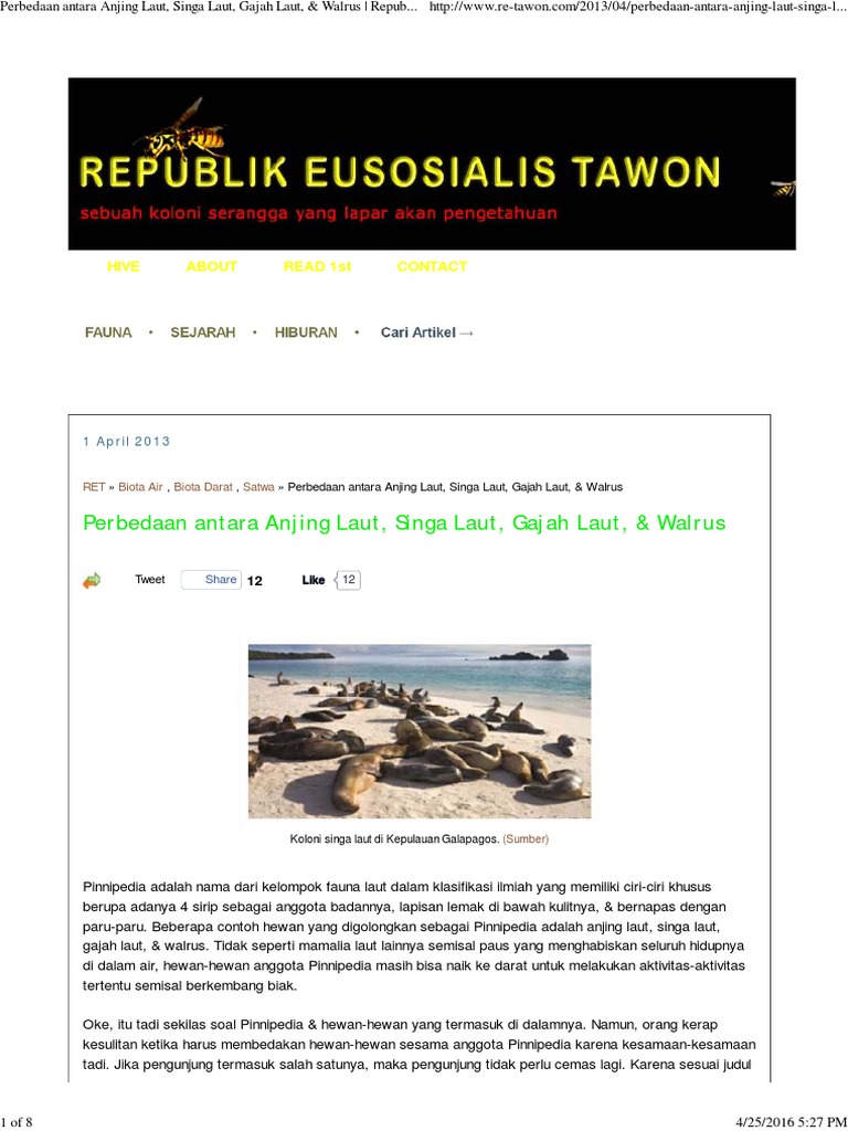Perbedaan Antara Anjing Laut, Singa Laut, Gajah Laut, & Walrus _ Republik Eusosialis Tawon