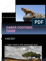 Tiger 2