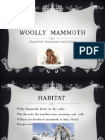 Woolly Mammoth: Alejandro, Oumayma and Azjadi