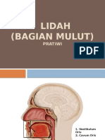 LIDAH (bagian mulut)