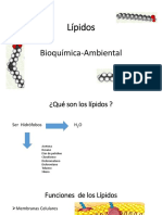 Lipidos -Bioquimica-Ambiental