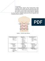 Kuadran Abdomen