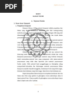 Download BAb_II by Fendi Suwito SN310393882 doc pdf