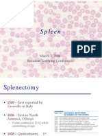 Spleen