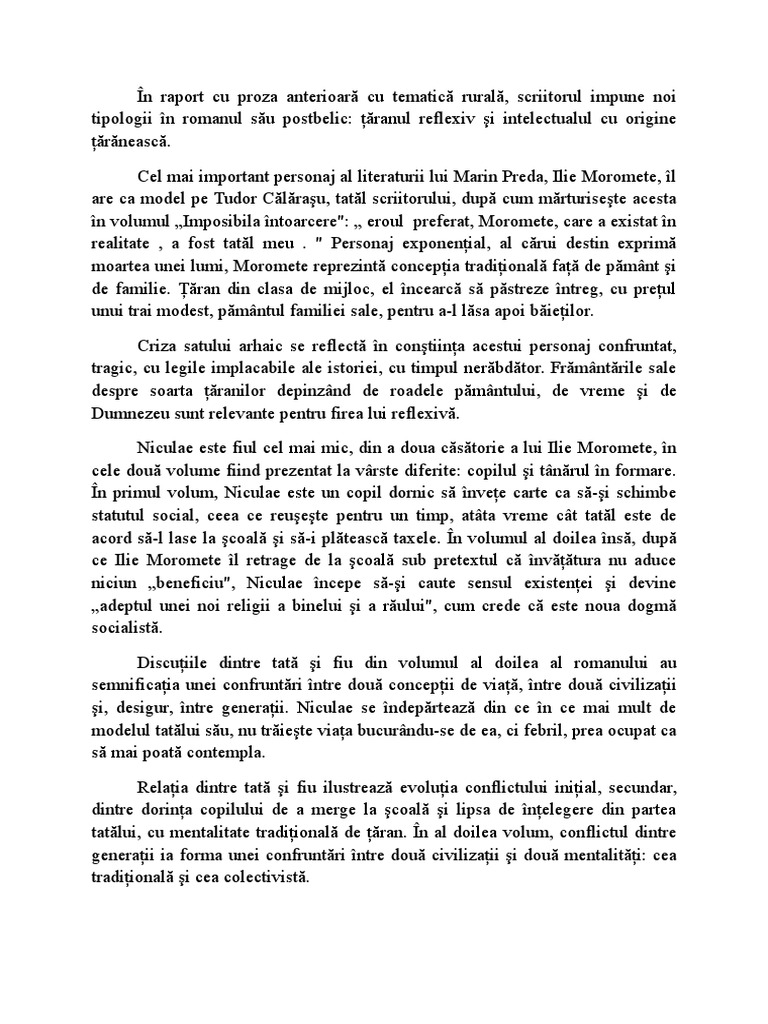 MOROMETII Relatia Dintre Personaje