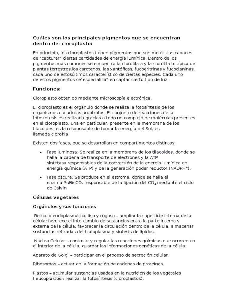 Apostila de Biologia, image size:768x1024